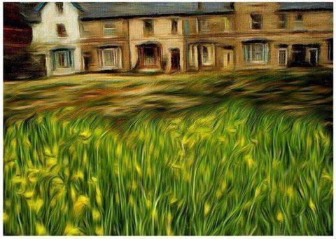 Hyacinth Bed & Breakfast Somerset  Exterior foto